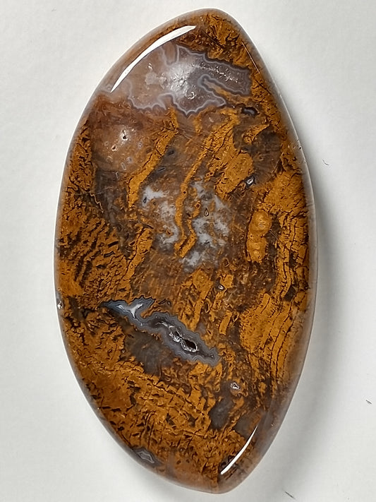 Petrified Wood Cabochon Large