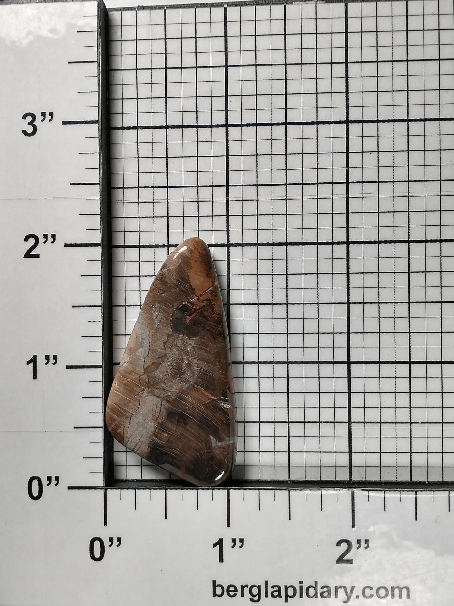 Petrified Wood Cabochon Large