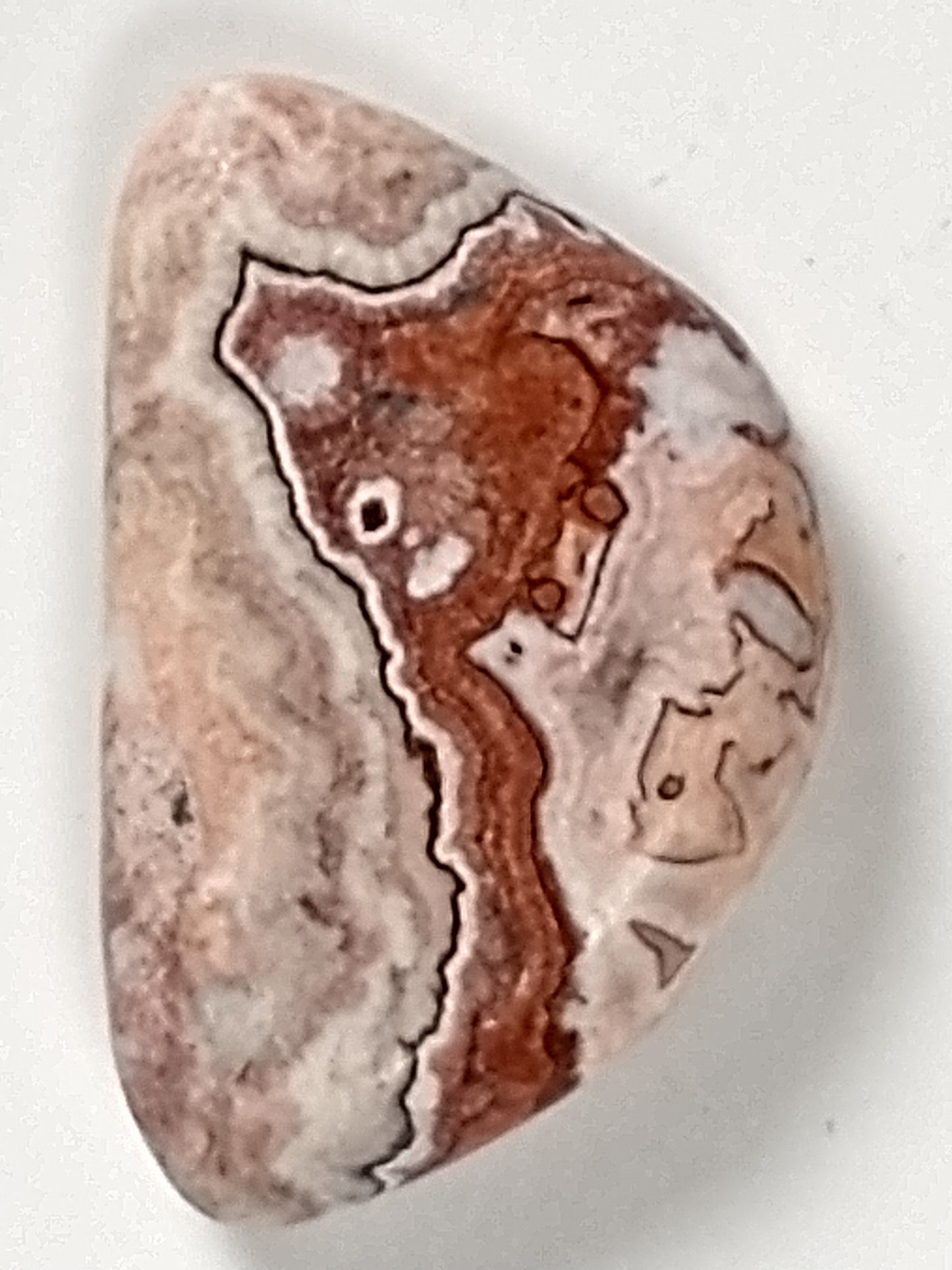 Rosetta Lace Cabochon Small