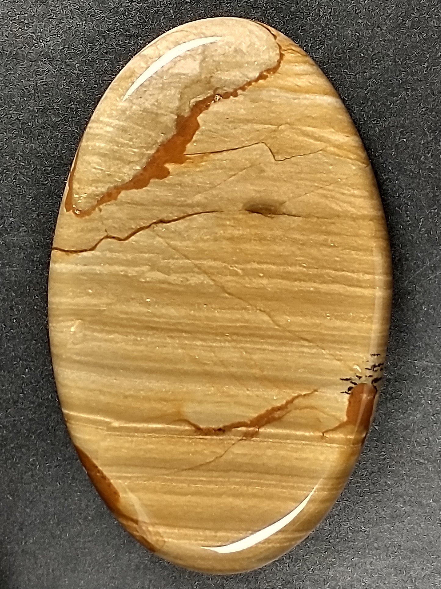 Owyhee Jasper Cabochon Medium