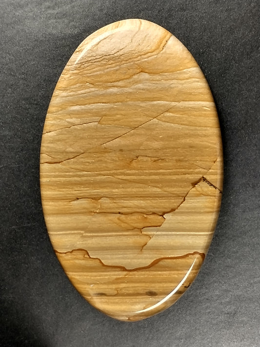 Owyhee Jasper Cabochon Large