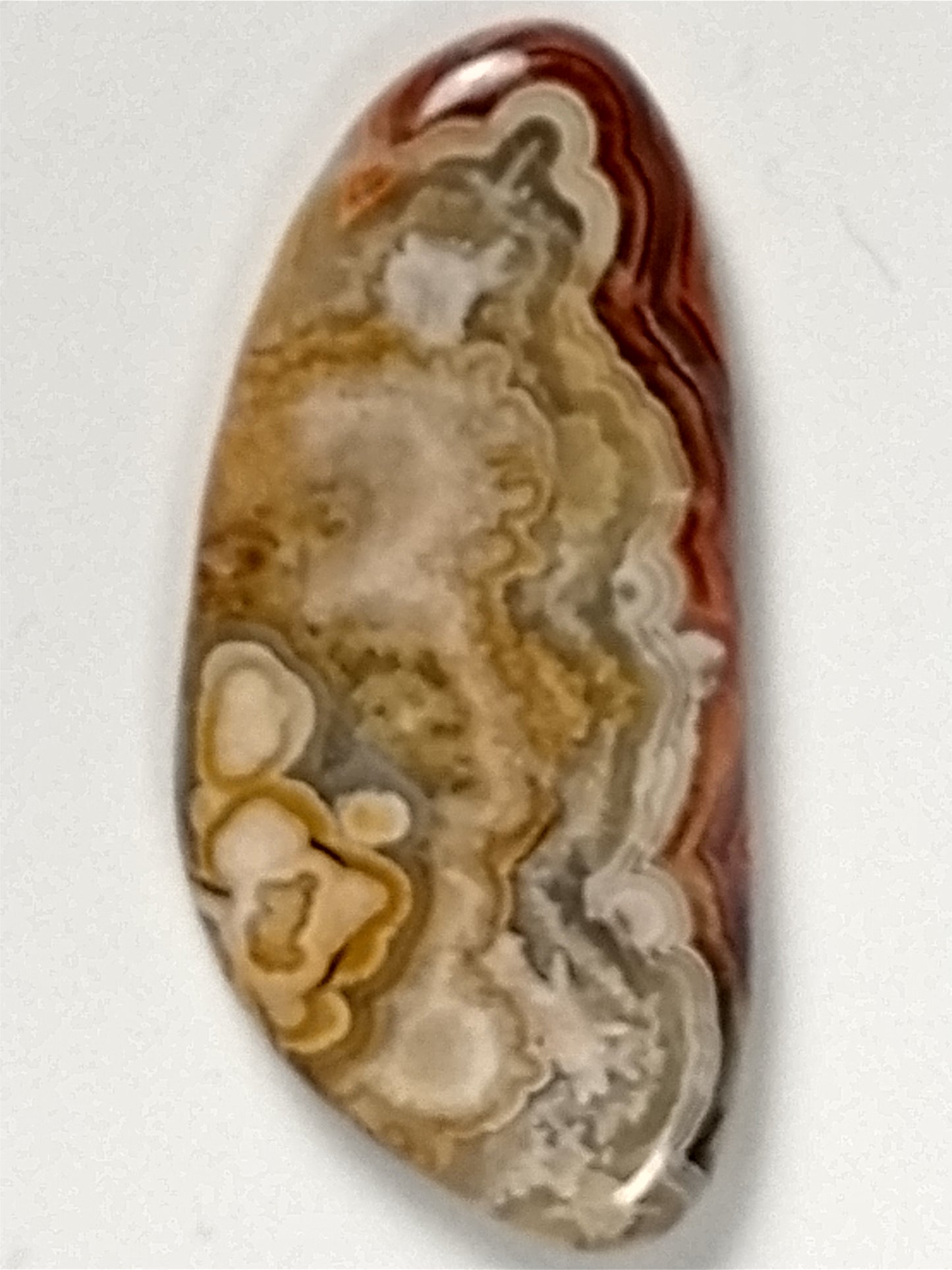 Crazy Lace Agate Cabochon Small