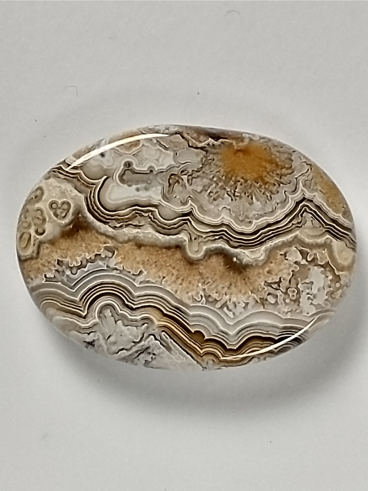 Crazy Lace Agate Cabochon Small