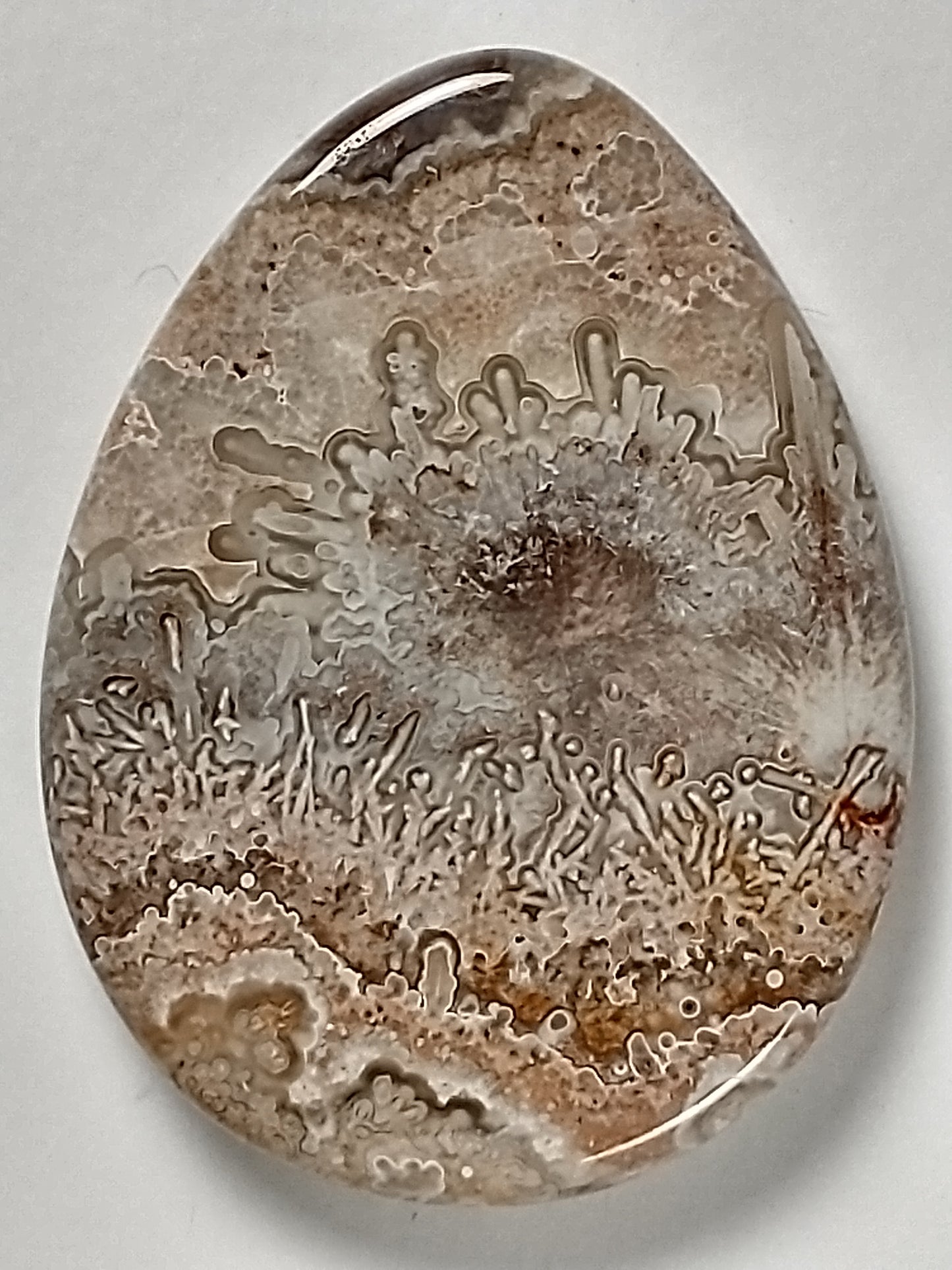 Crazy Lace Agate Cabochon Medium