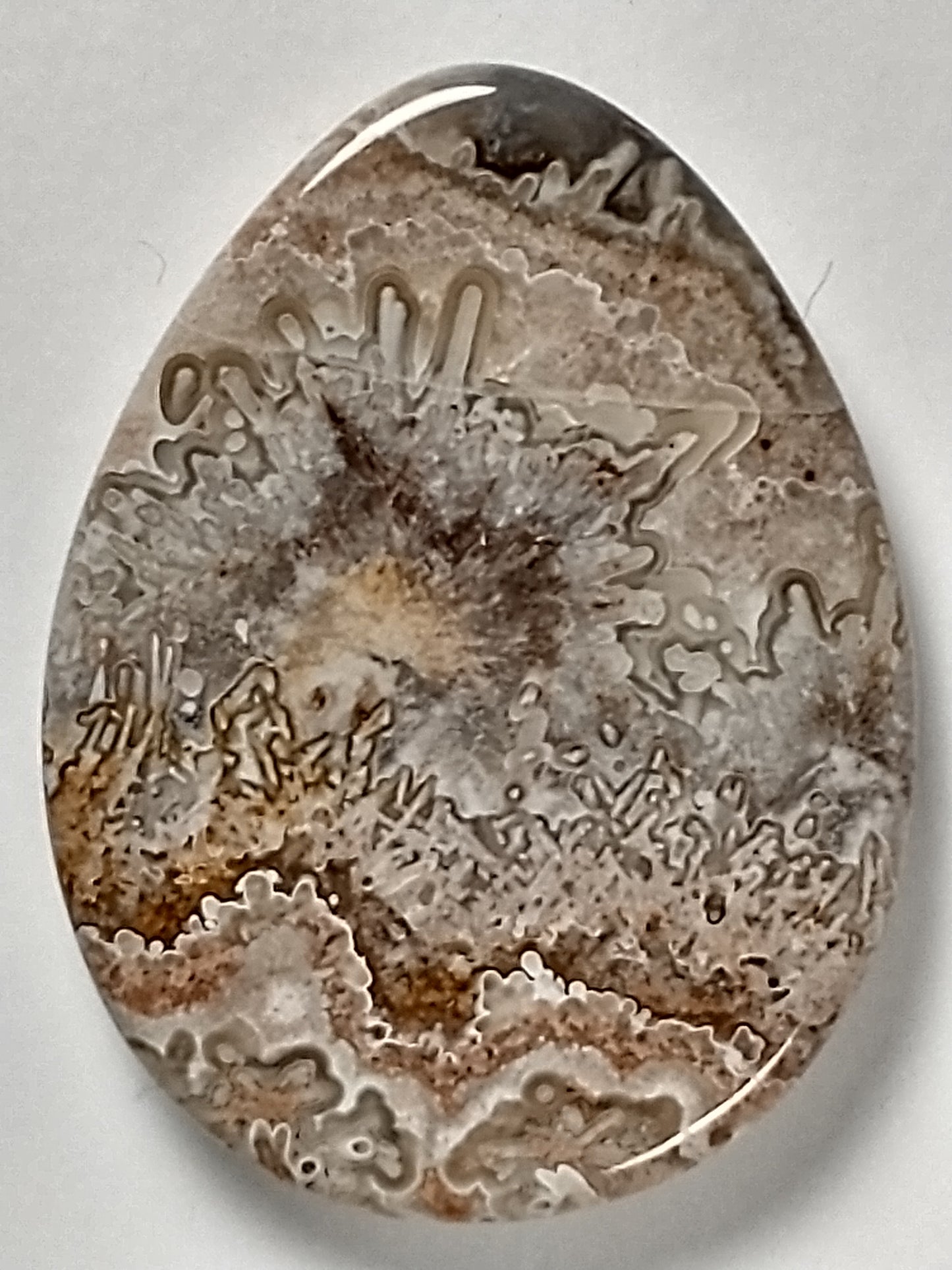 Crazy Lace Agate Cabochon Medium