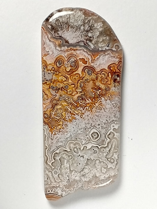Crazy Lace Agate Cabochon Large