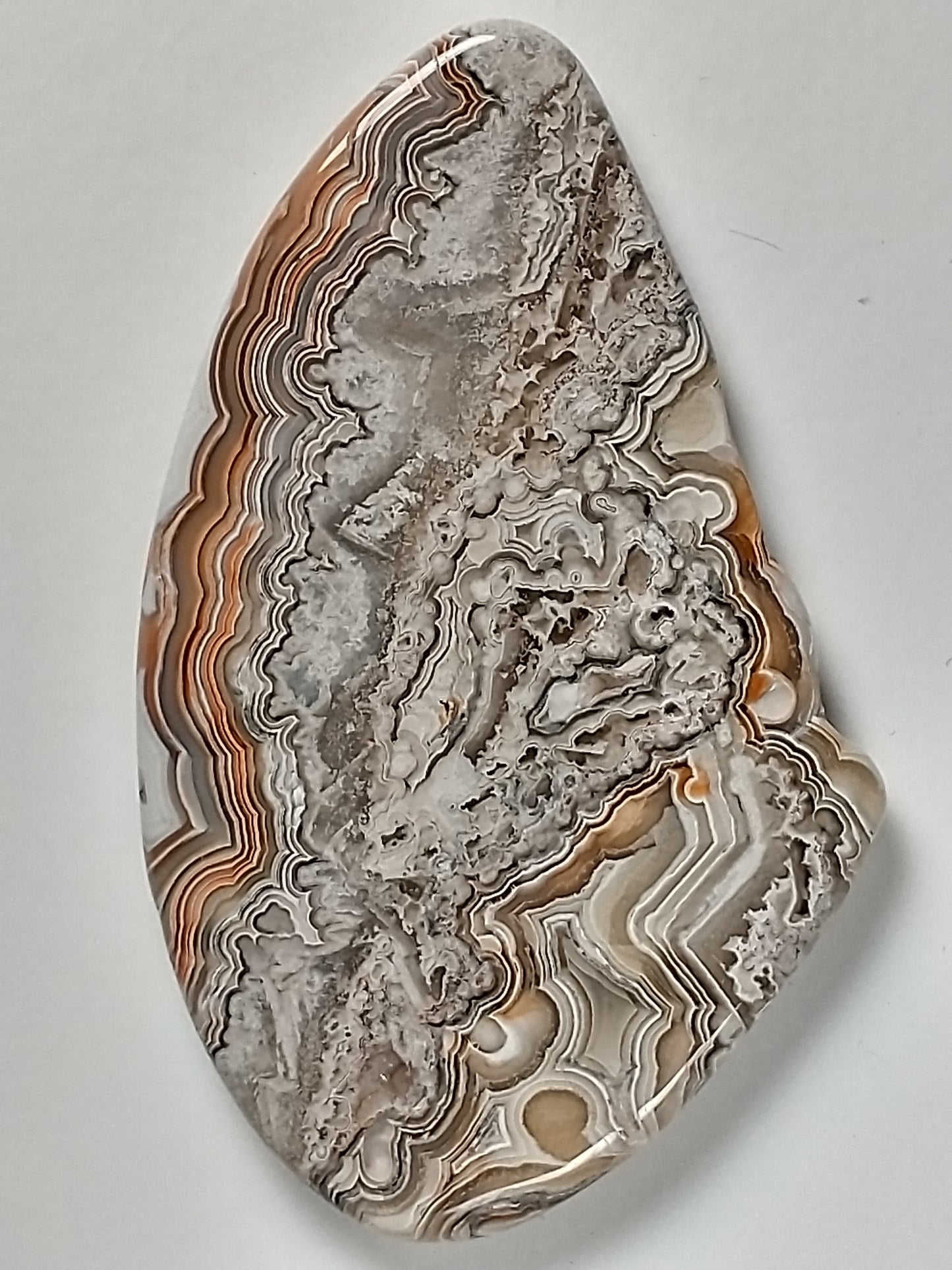 Crazy Lace Agate Cabochon Large