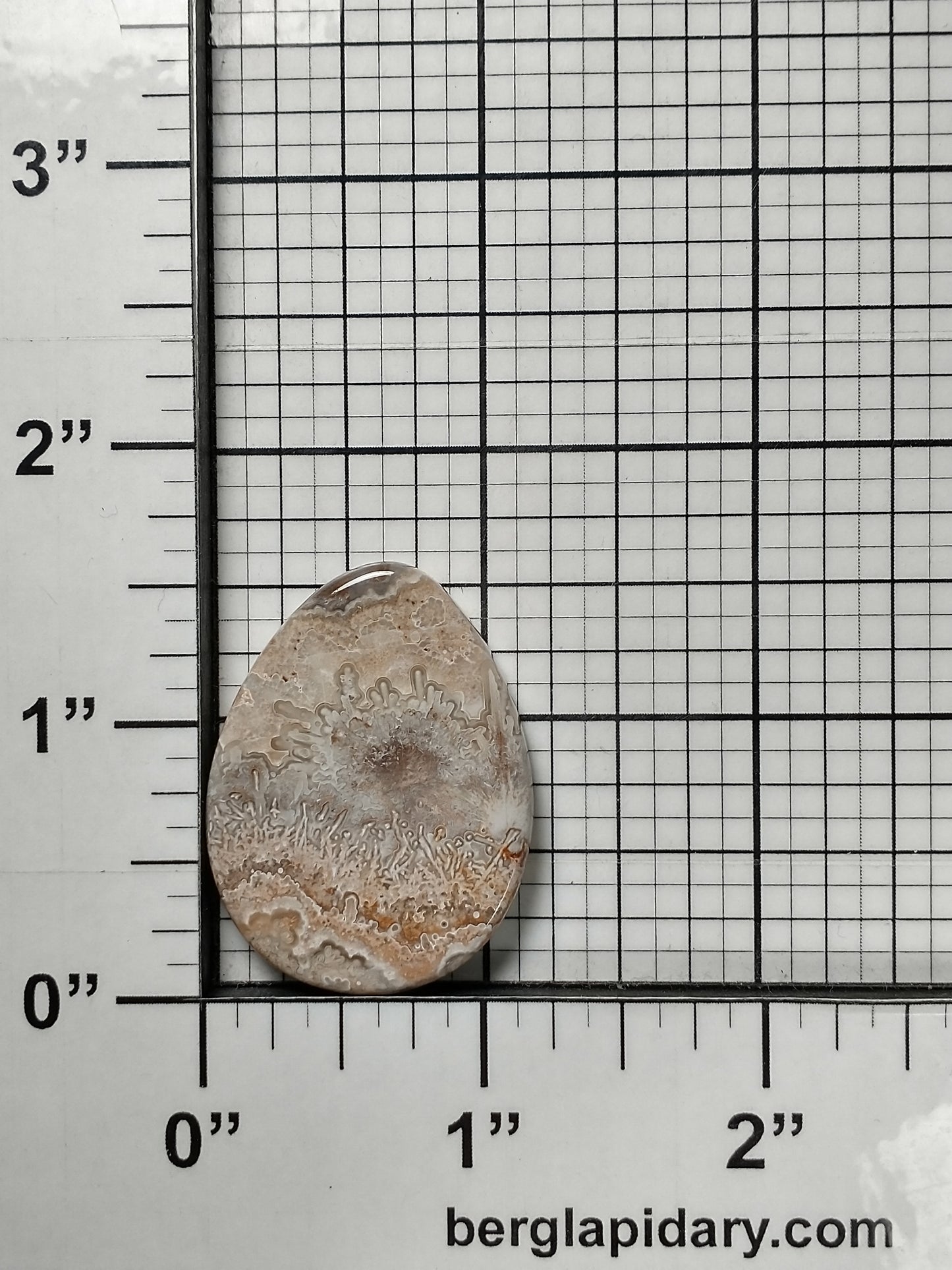 Crazy Lace Agate Cabochon Medium