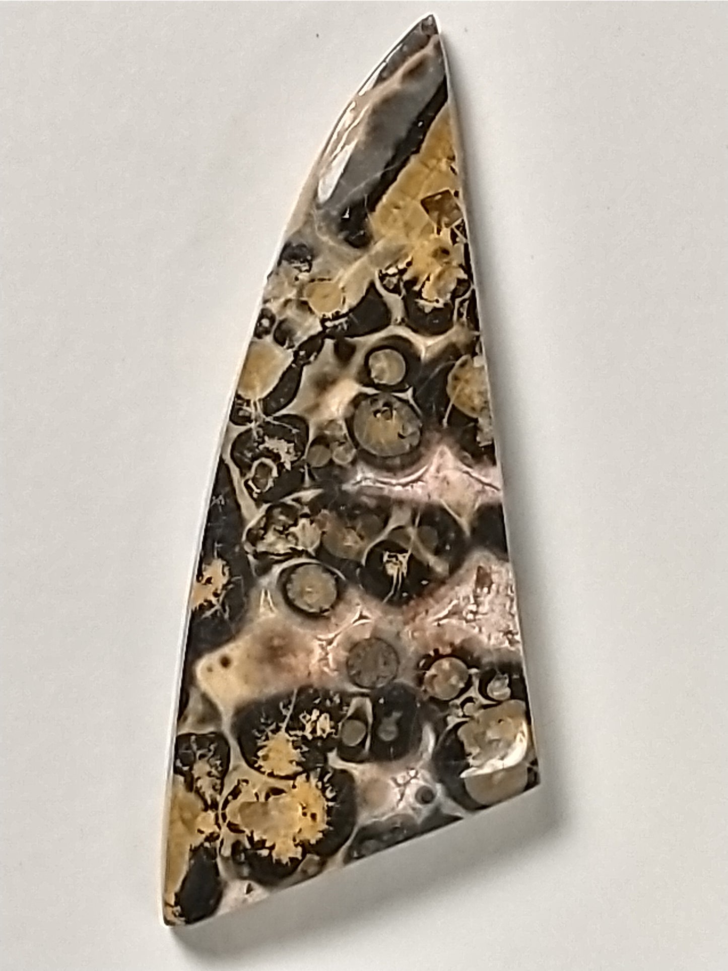 Leopard Skin Jasper Cabochon Small