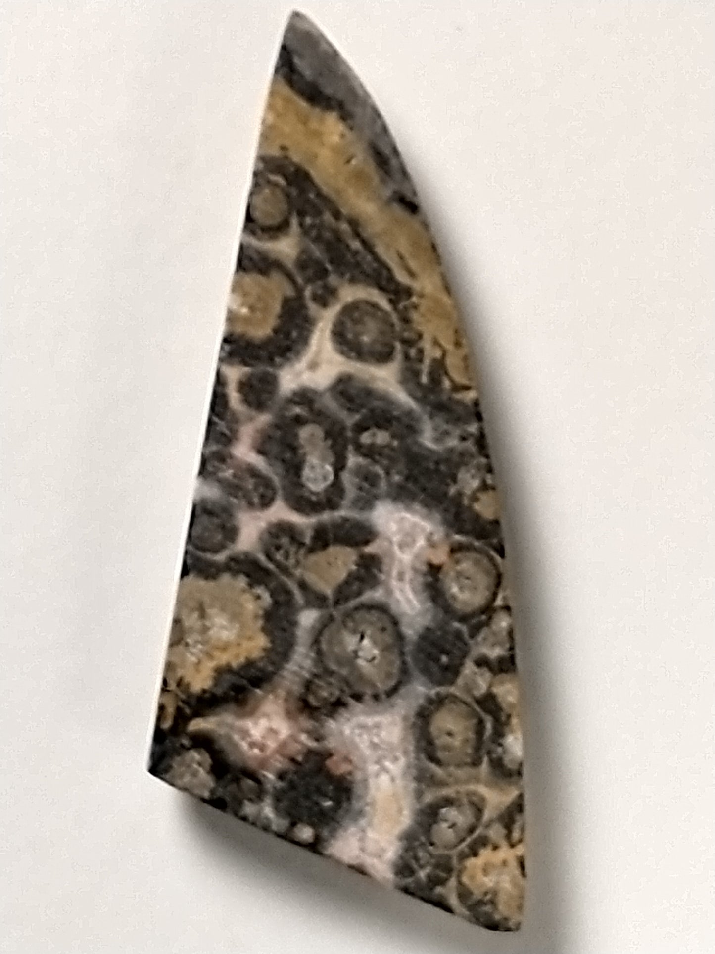 Leopard Skin Jasper Cabochon Small
