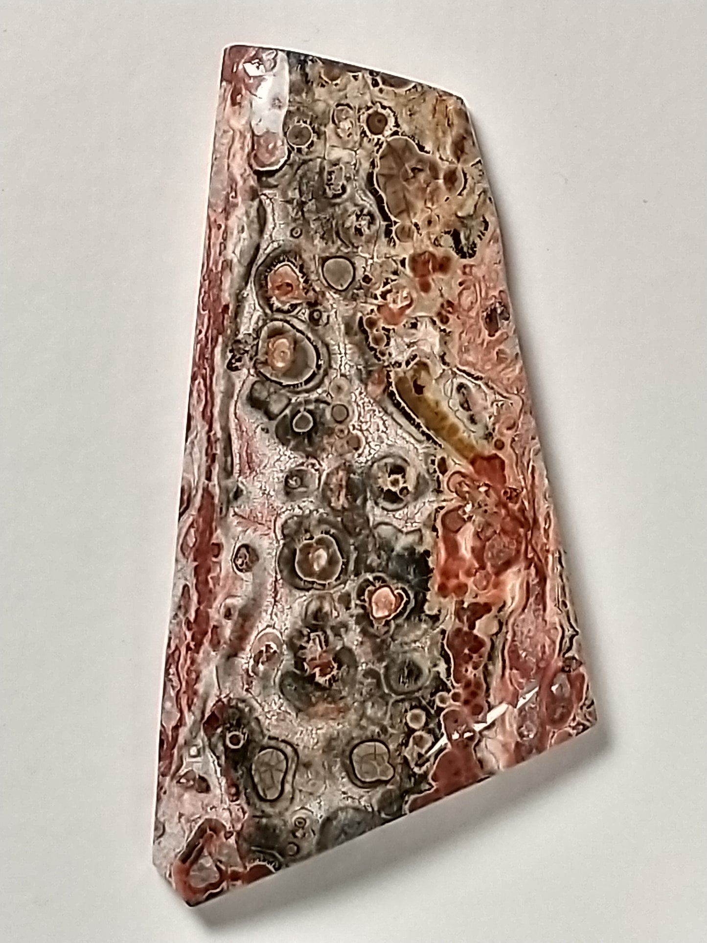 Leopard Skin Jasper Cabochon Medium