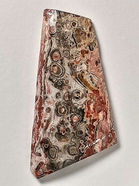 Leopard Skin Jasper Cabochon Medium