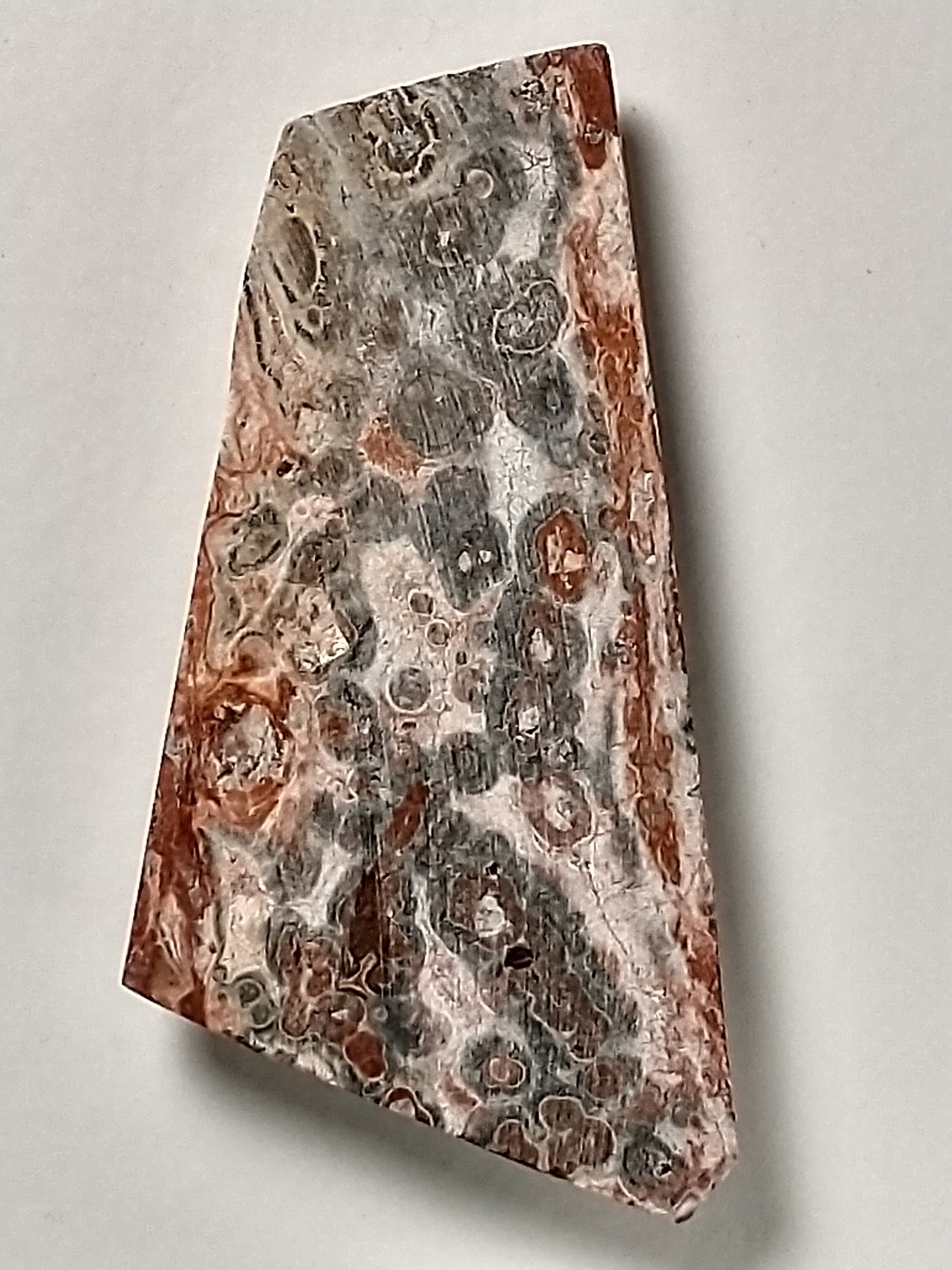 Leopard Skin Jasper Cabochon Medium