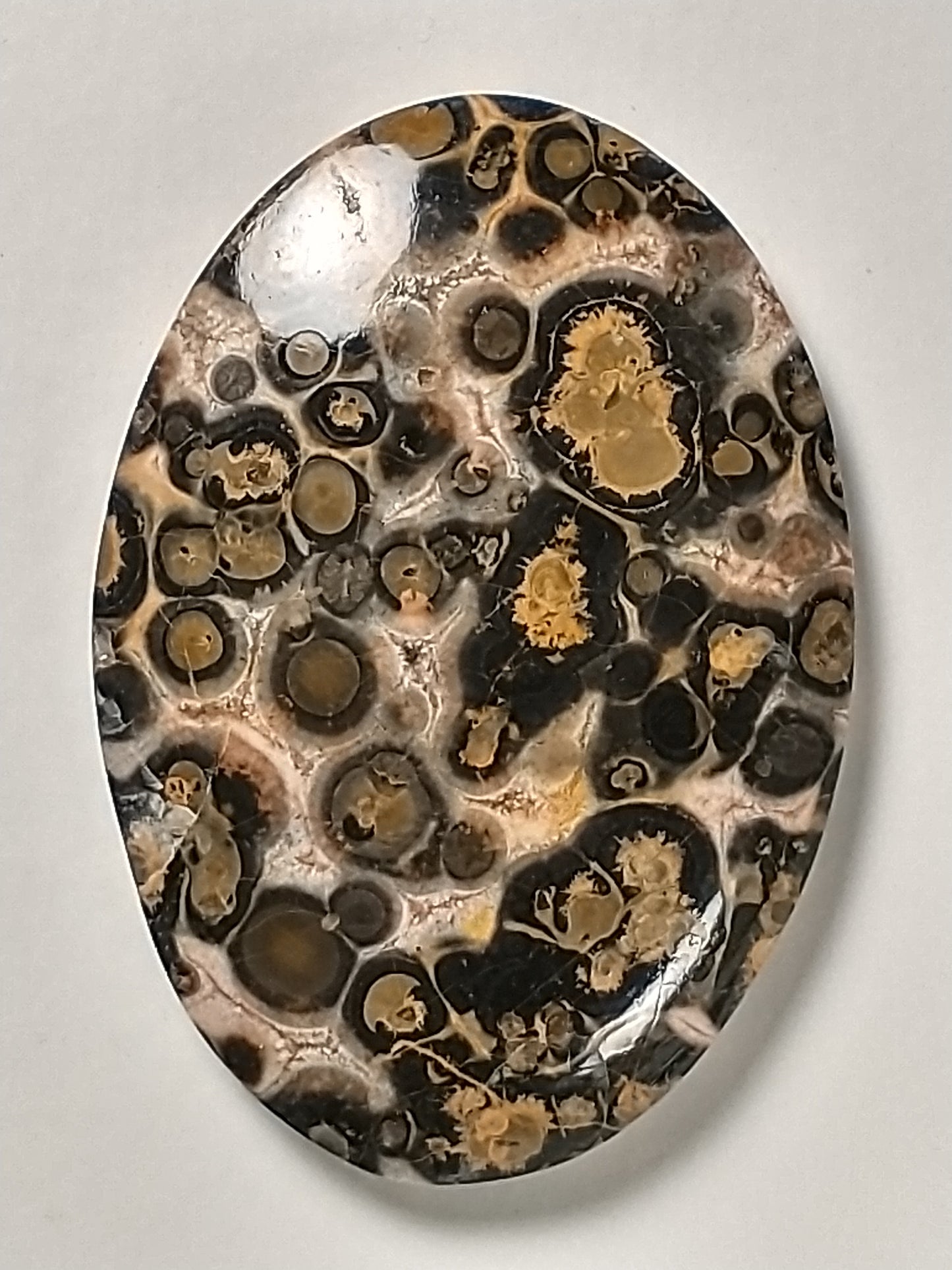 Leopard Skin Jasper Cabochon Medium