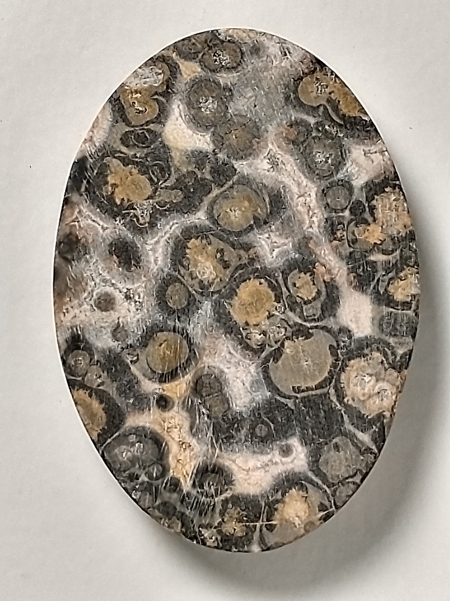 Leopard Skin Jasper Cabochon Medium