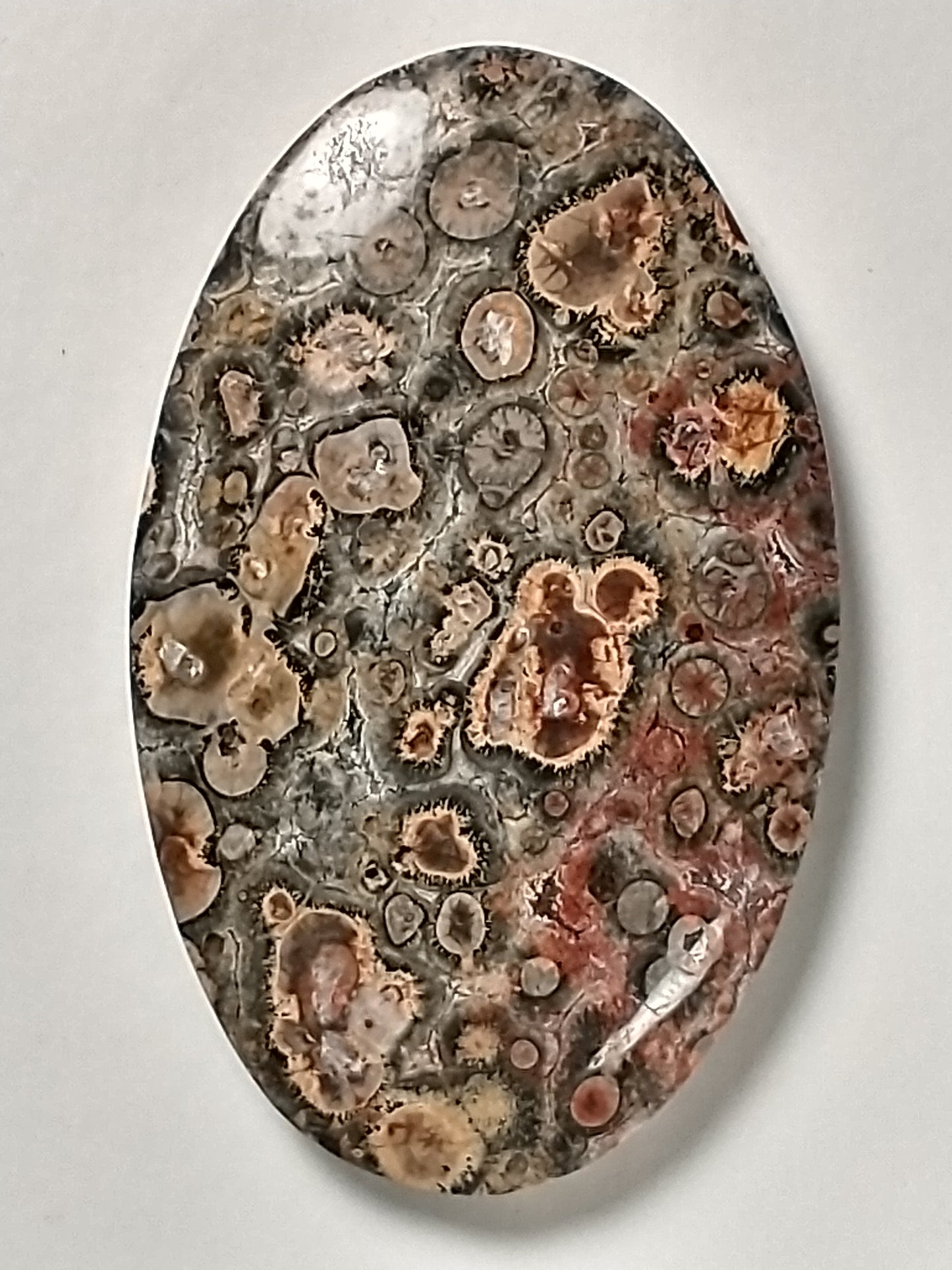 Leopard Skin Jasper Cabochon Medium