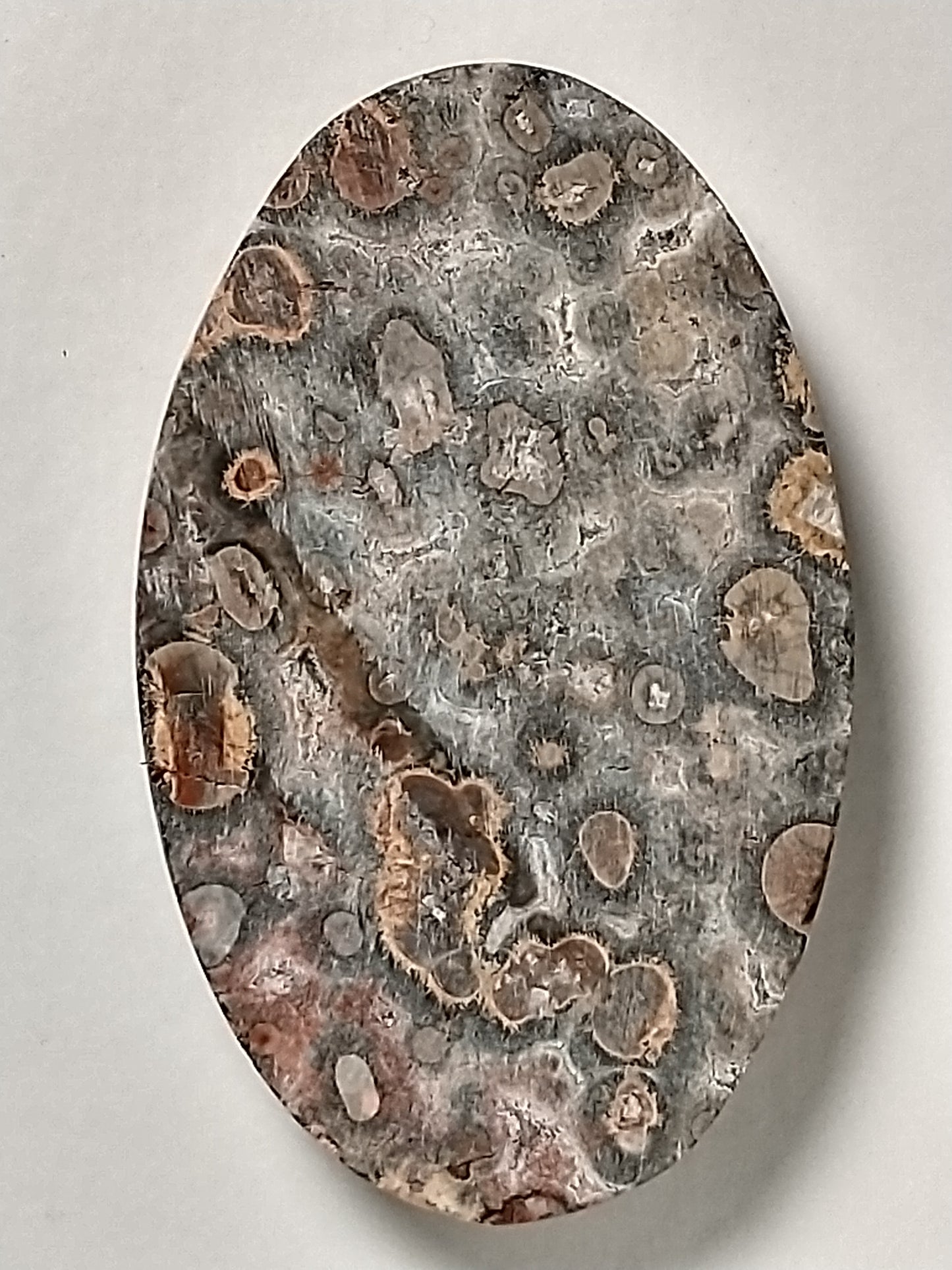 Leopard Skin Jasper Cabochon Medium