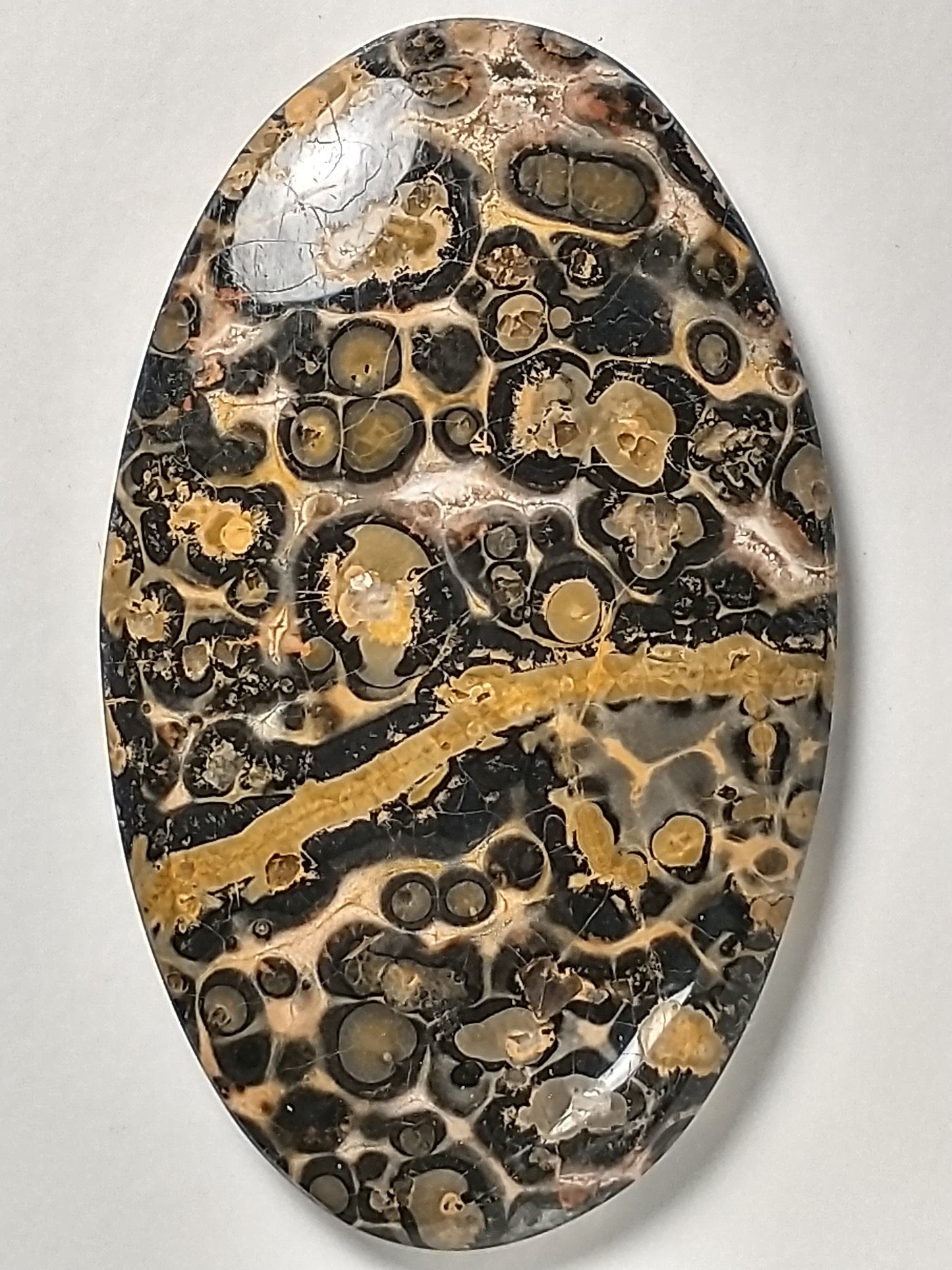 Leopard Skin Jasper Cabochon Large