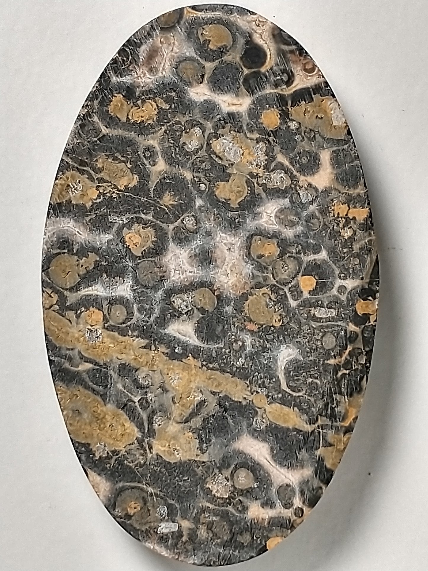 Leopard Skin Jasper Cabochon Large
