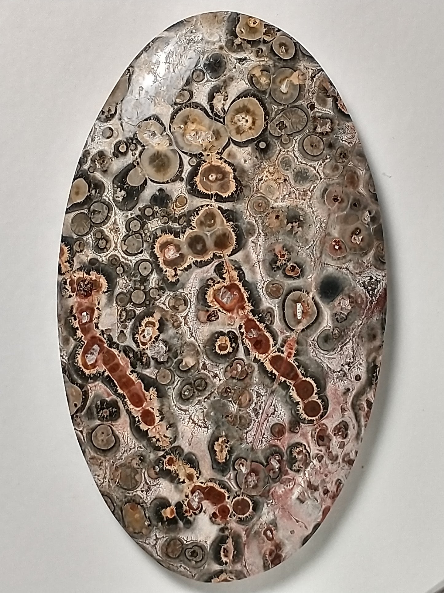 Leopard Skin Jasper Cabochon Large