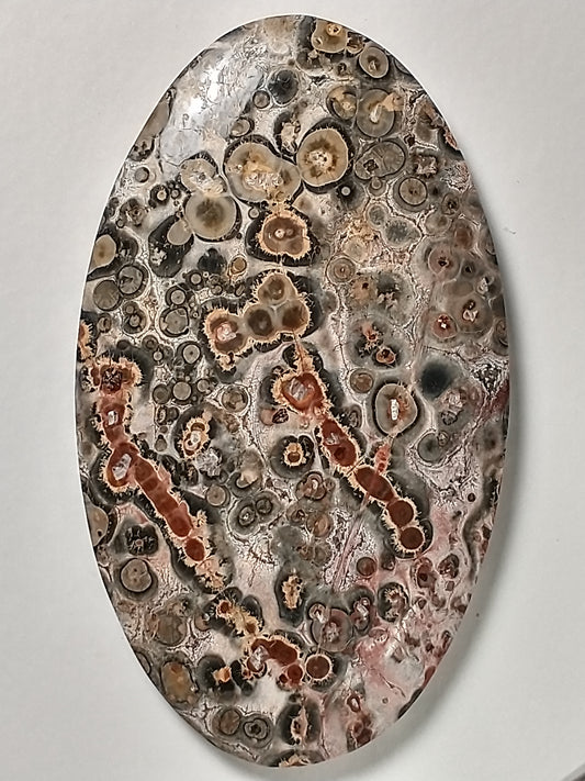 Leopard Skin Jasper Cabochon Large
