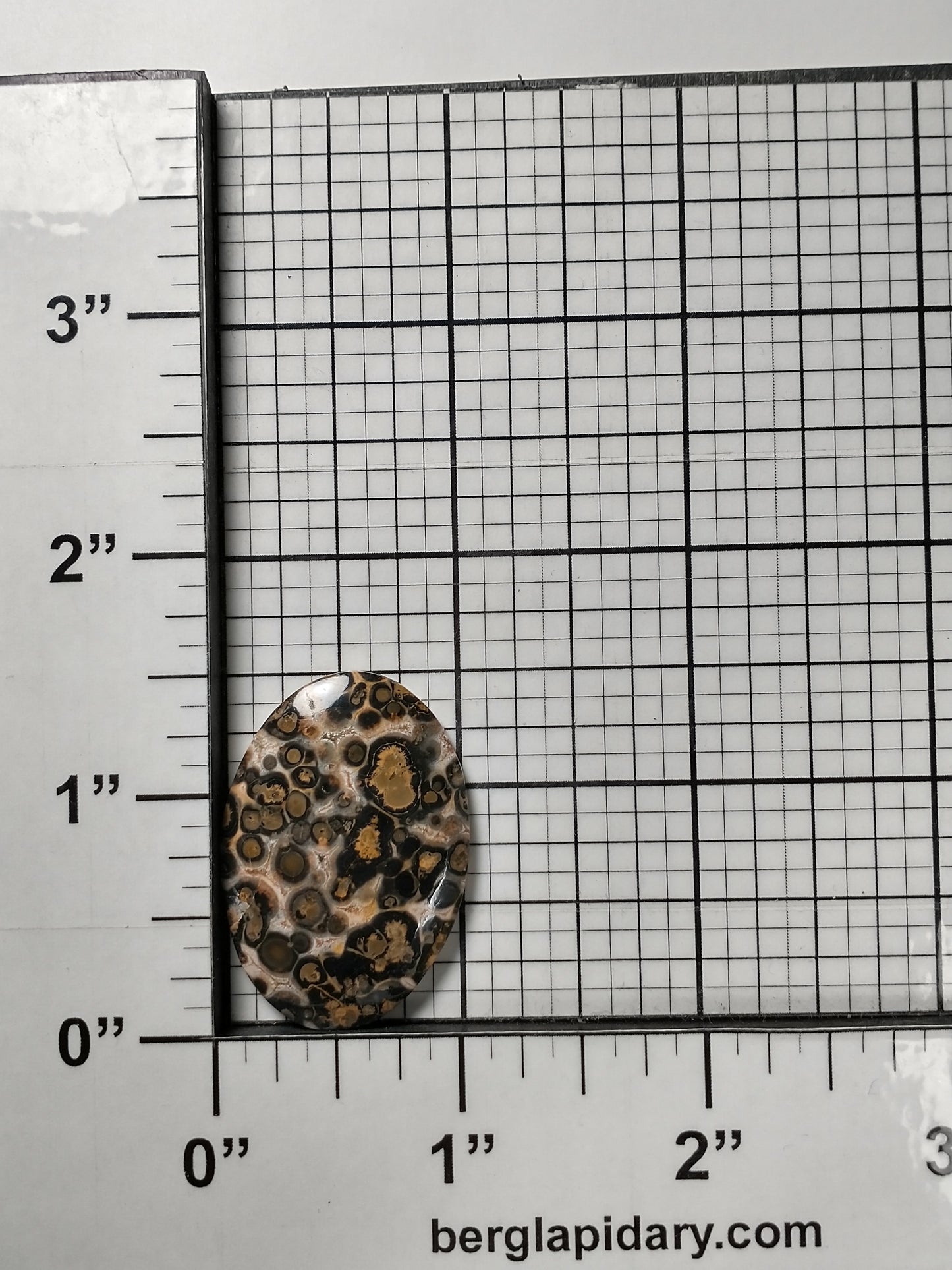Leopard Skin Jasper Cabochon Medium
