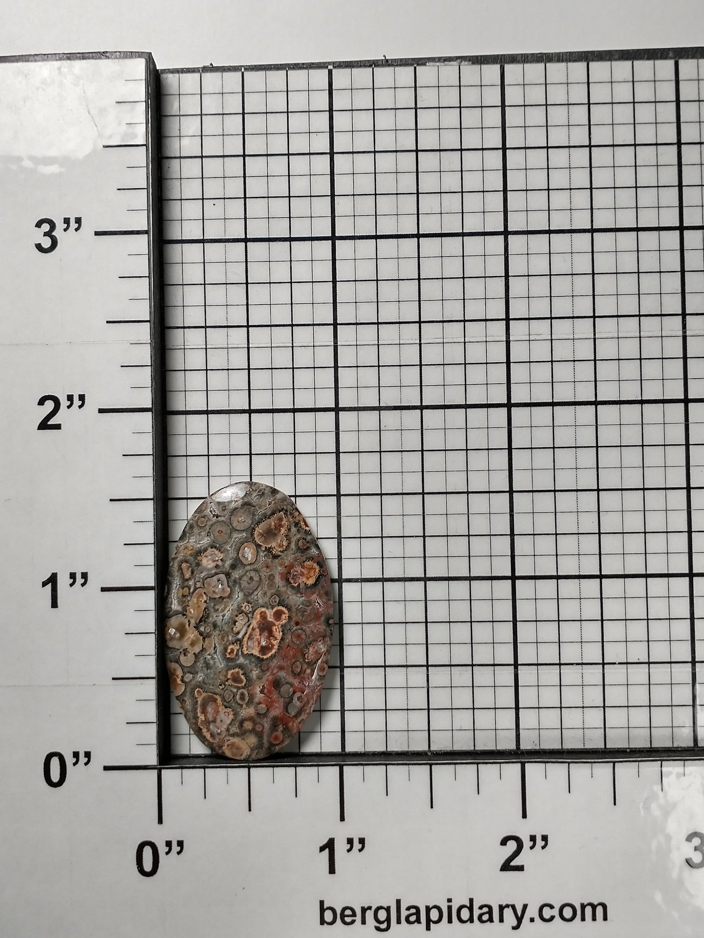 Leopard Skin Jasper Cabochon Medium
