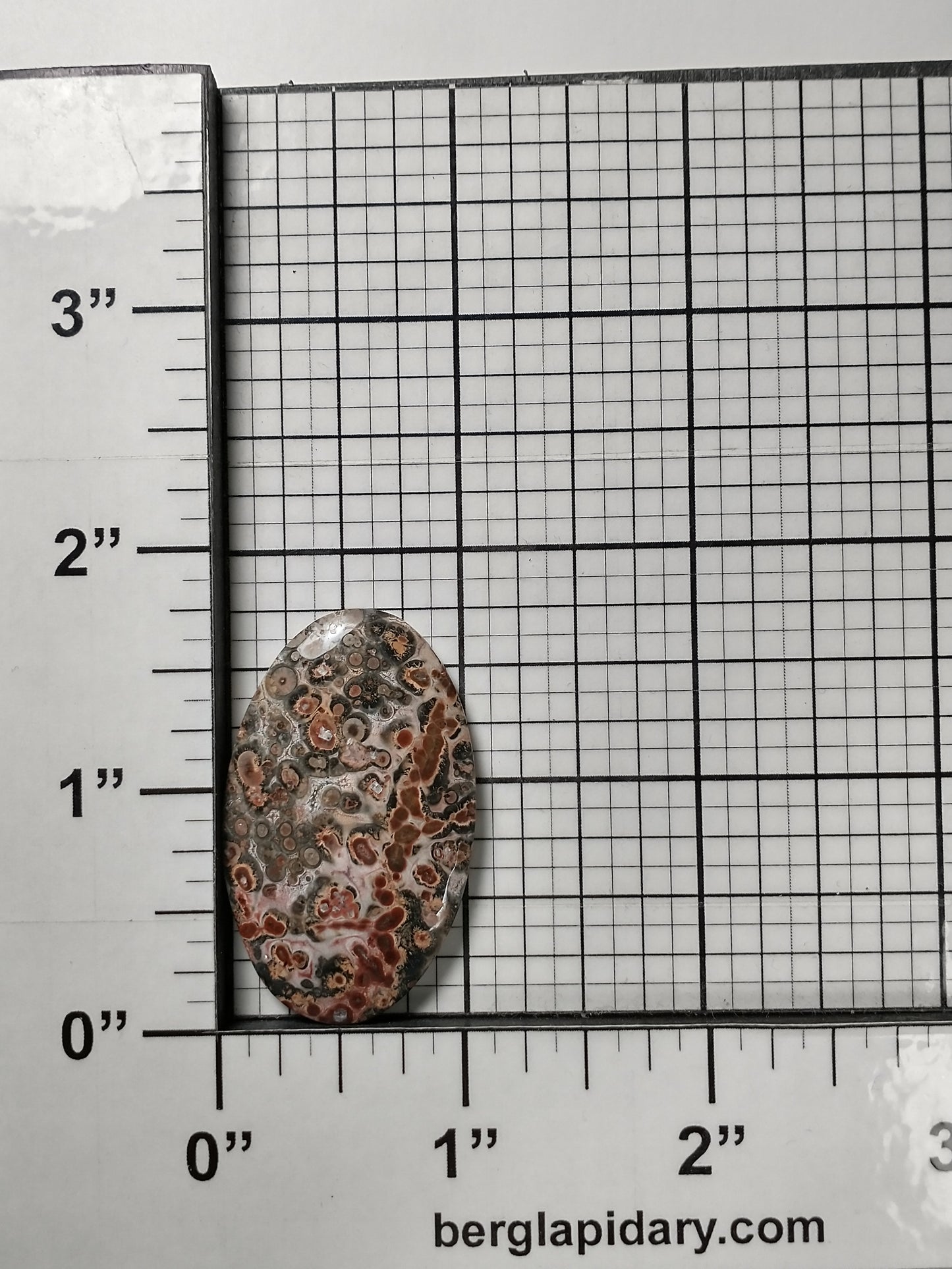 Leopard Skin Jasper Cabochon Medium