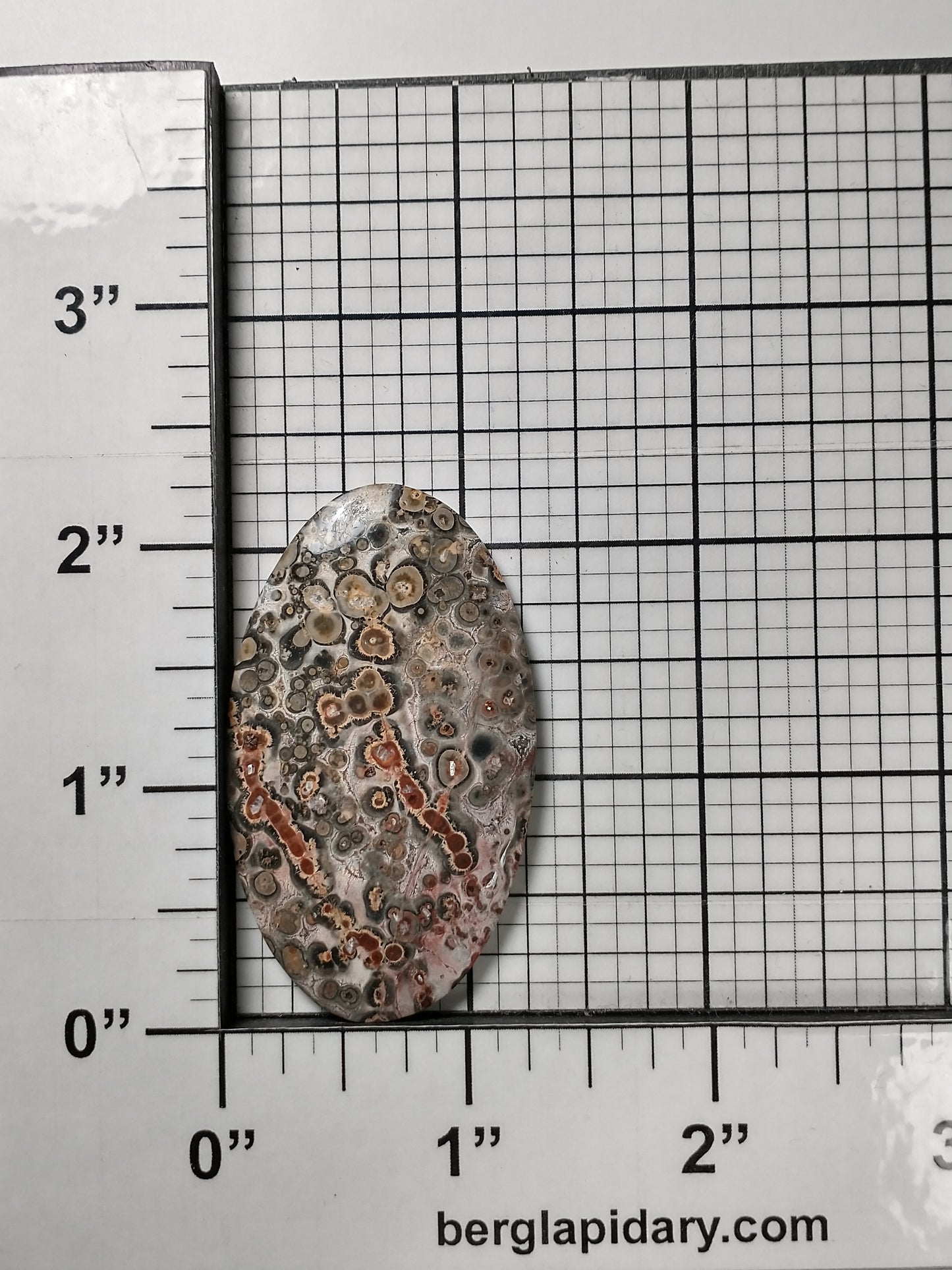 Leopard Skin Jasper Cabochon Large