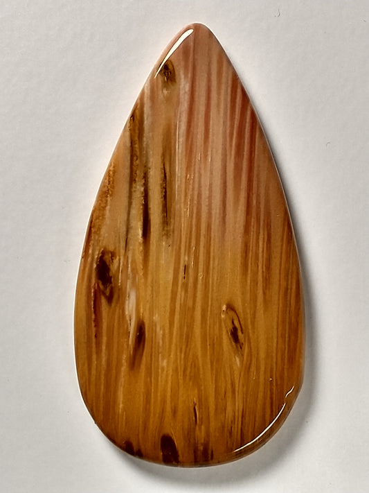 Petrified Palm Wood Cabochon Medium