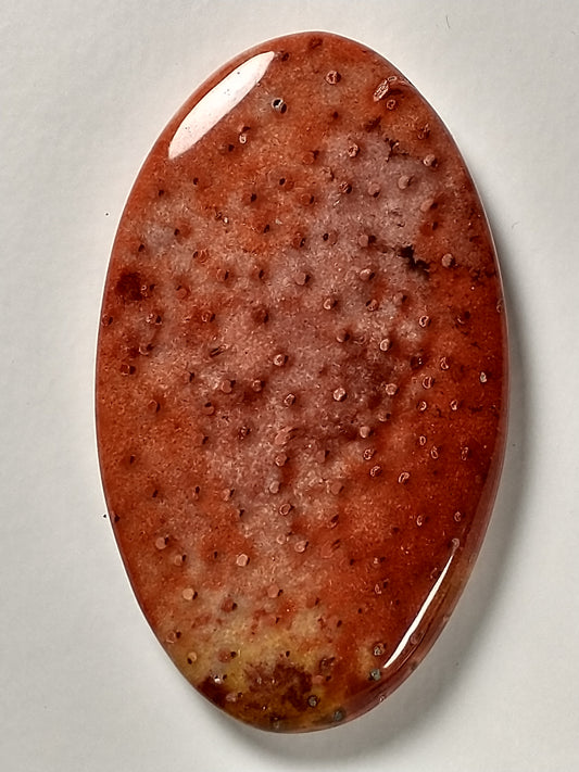 Petrified Palm Wood Cabochon Medium