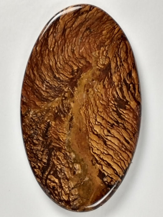 Beers Mountain Jasper Cabochon Large