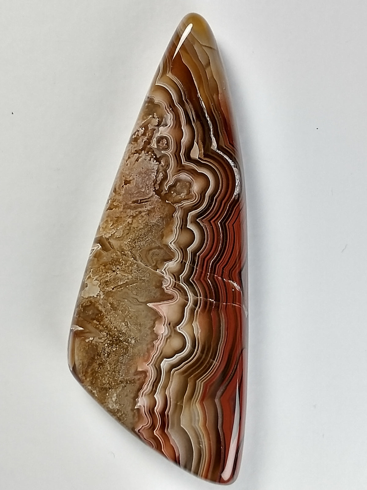 Laguna Lace Agate Cabochon Medium