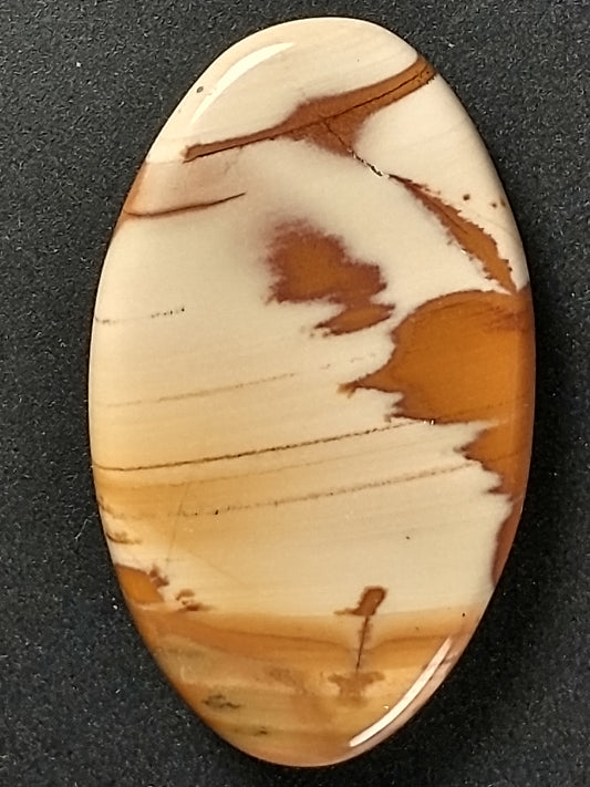 Owyhee Jasper Cabochon Small