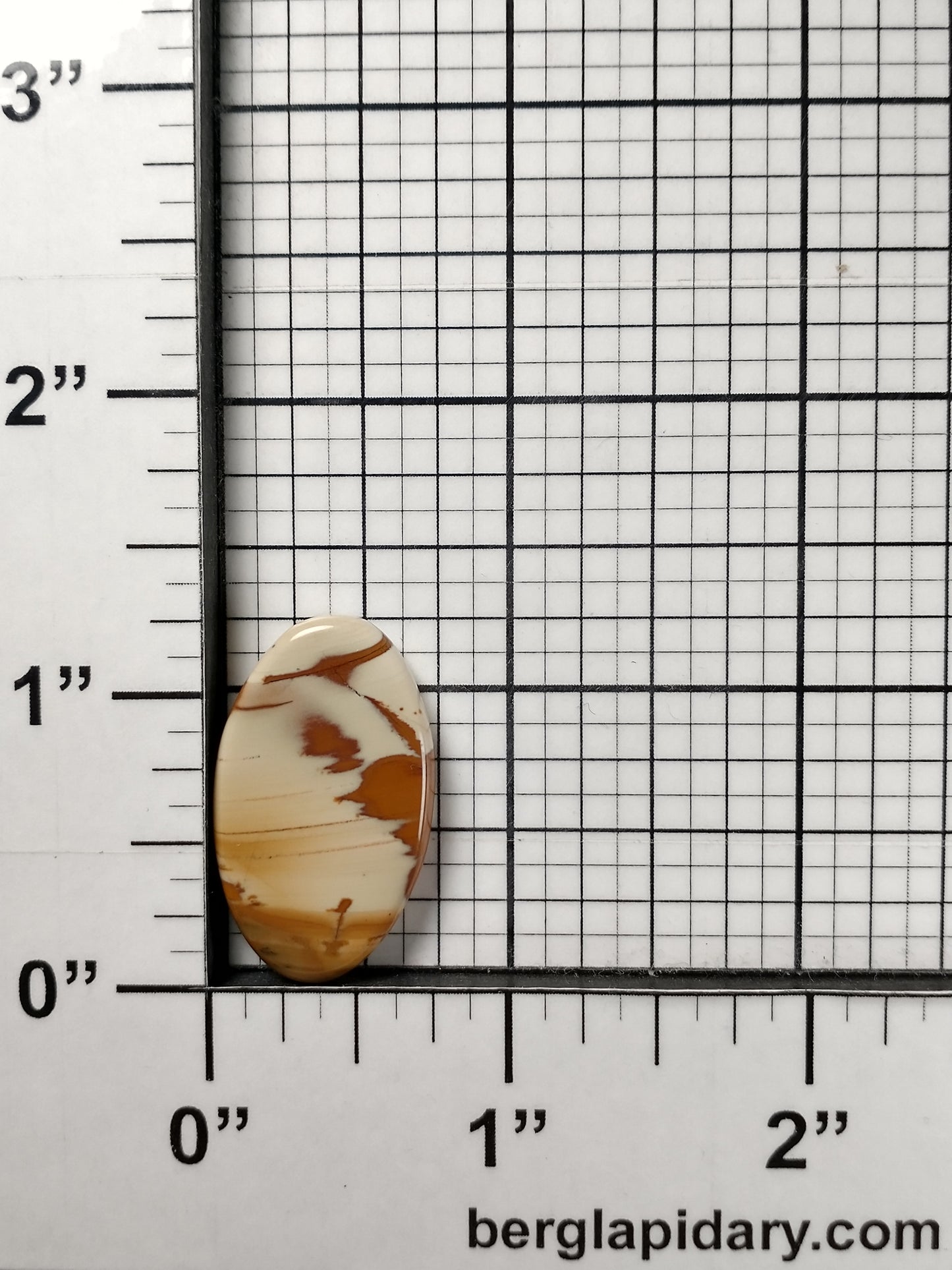 Owyhee Jasper Cabochon Small