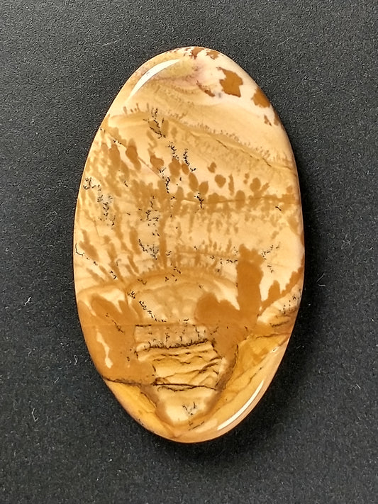 Owyhee Jasper Cabochon Medium