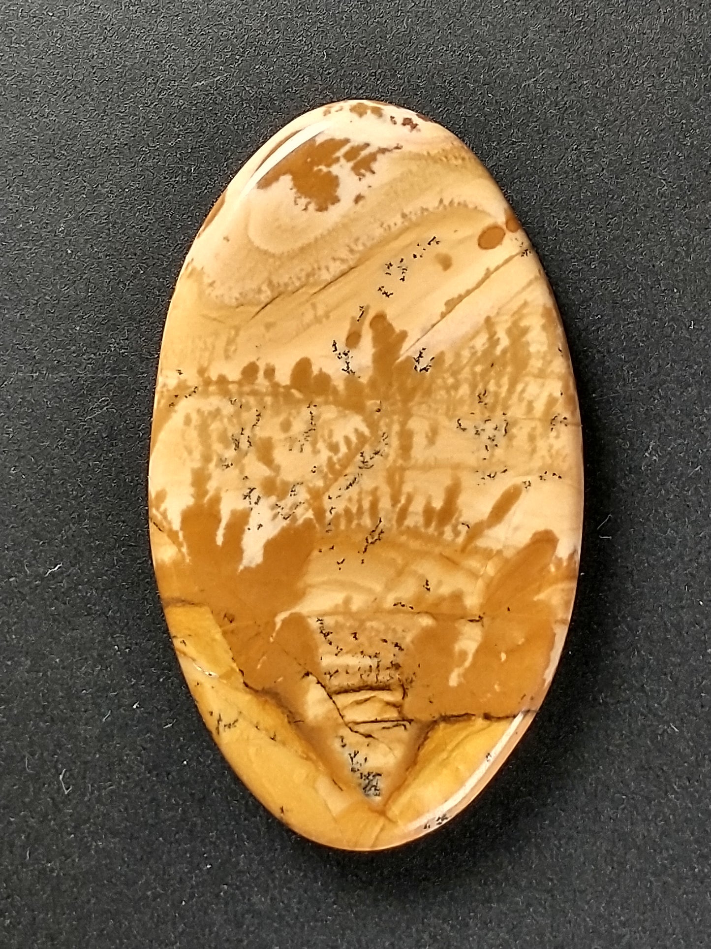Owyhee Jasper Cabochon Medium