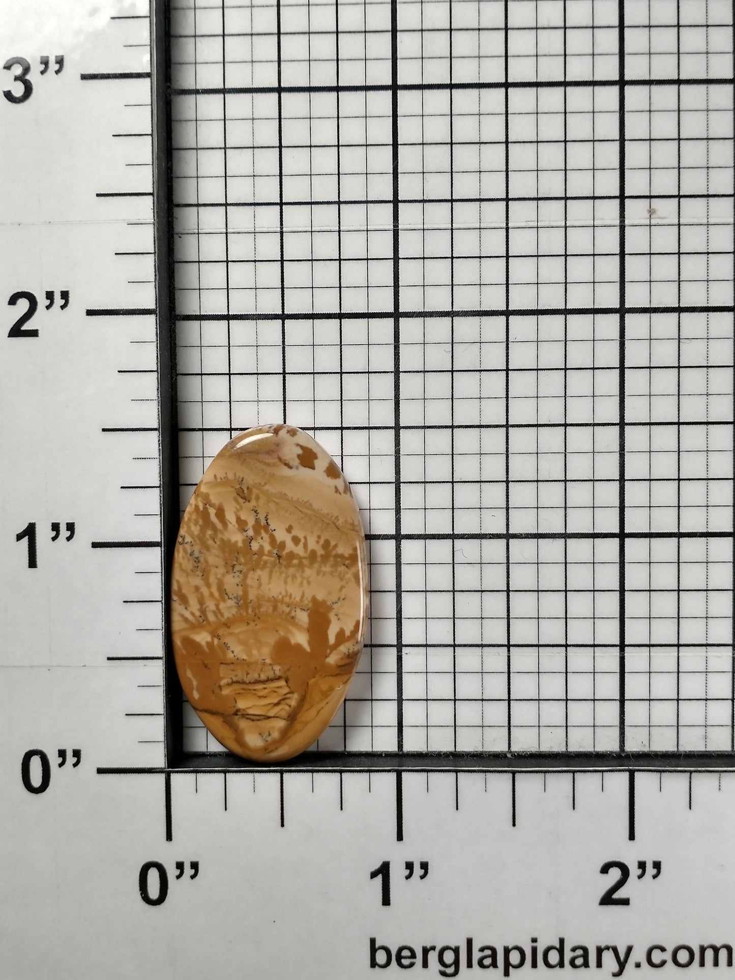 Owyhee Jasper Cabochon Medium