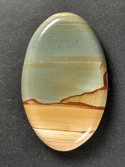 Owyhee Jasper Cabochon Medium