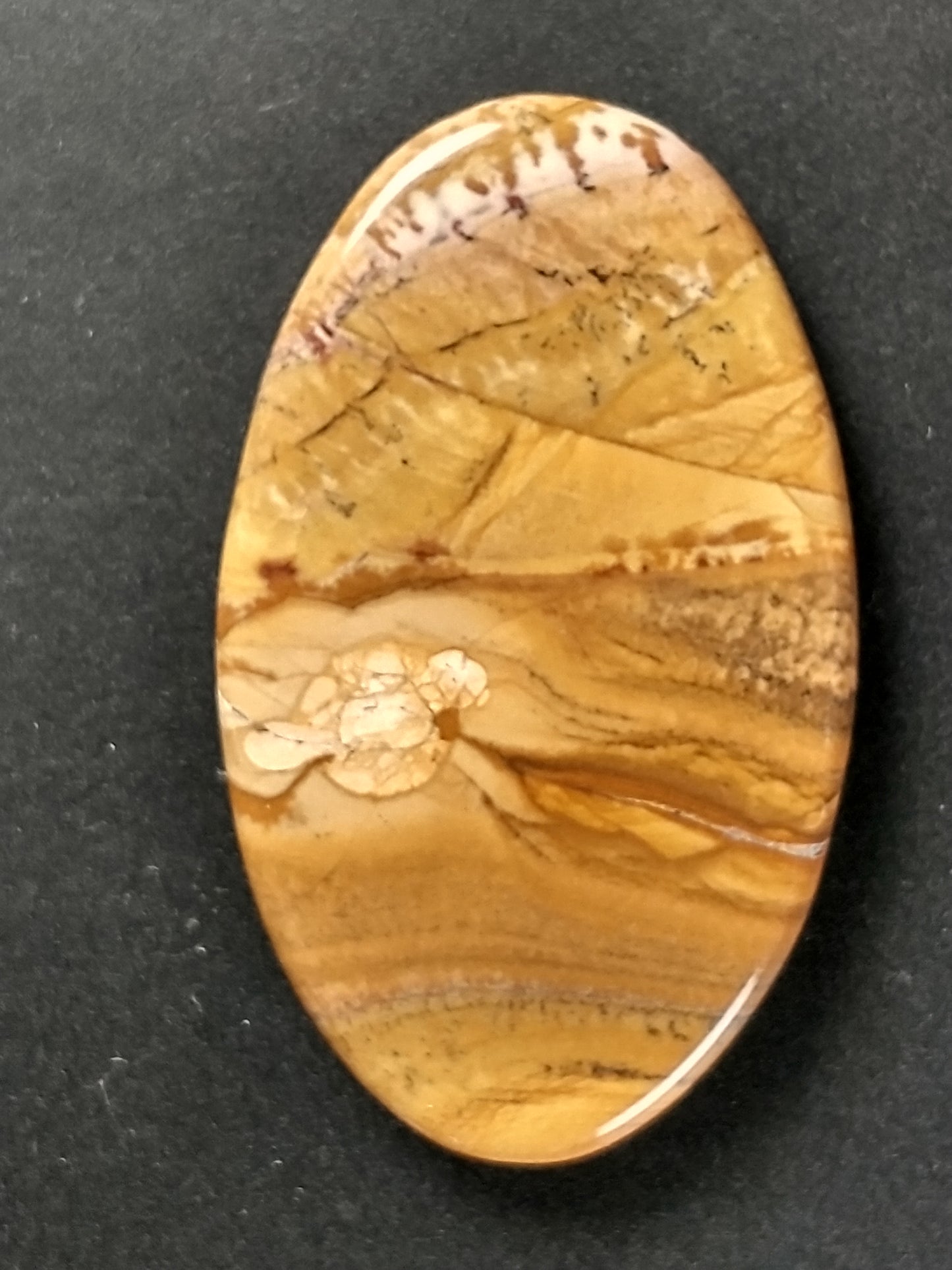 Owyhee Jasper Cabochon Medium