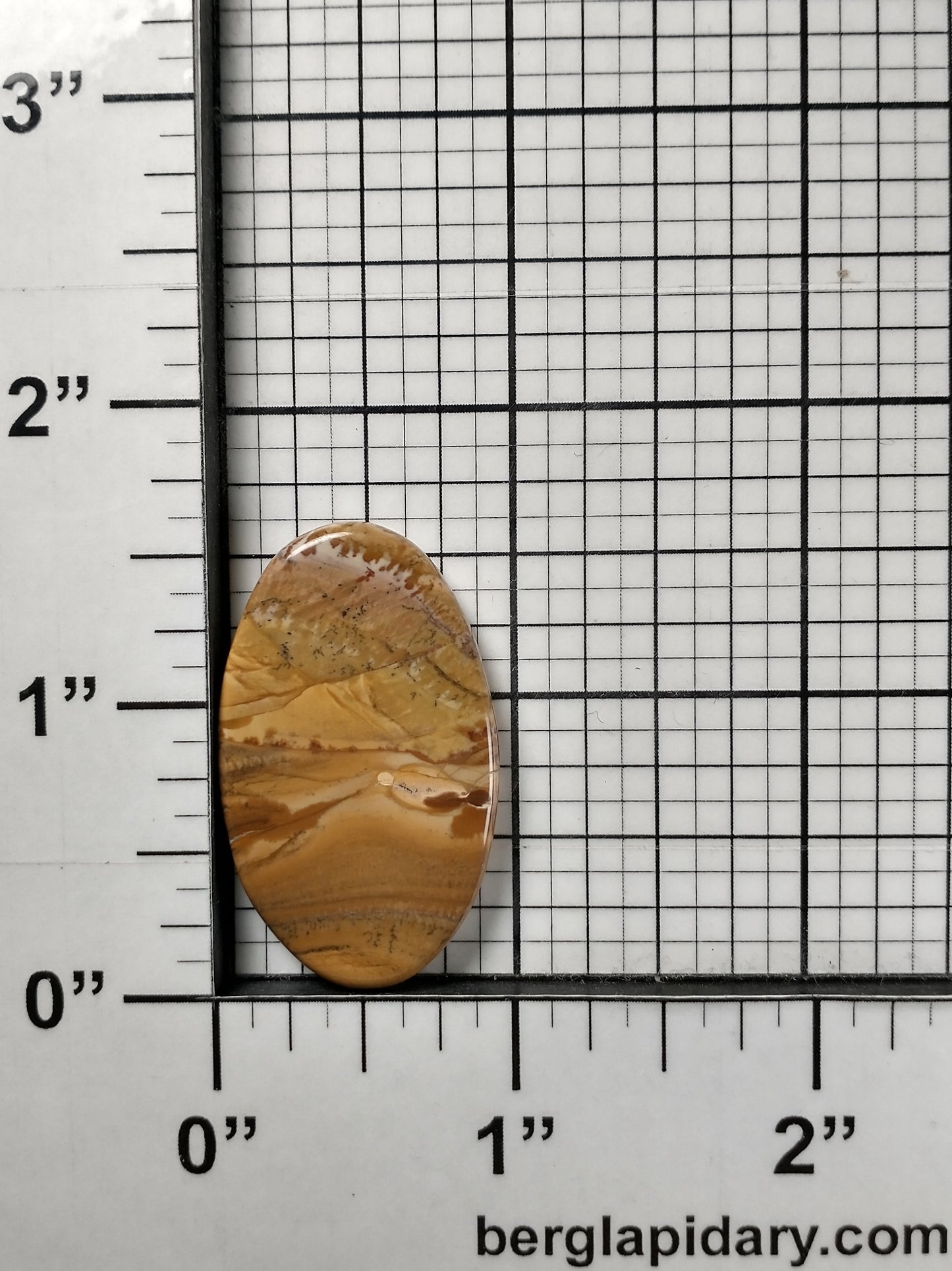 Owyhee Jasper Cabochon Medium