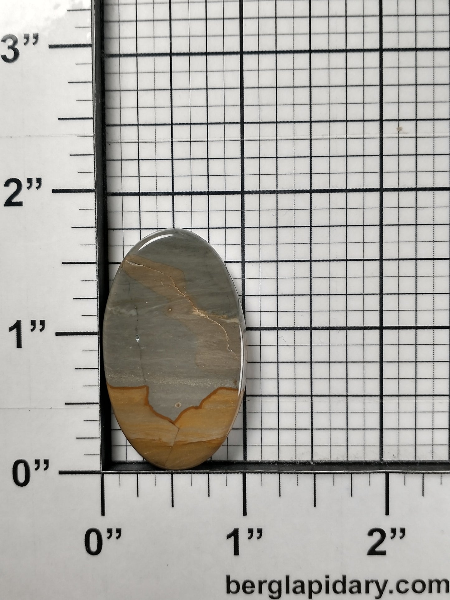 Owyhee Jasper Cabochon Medium