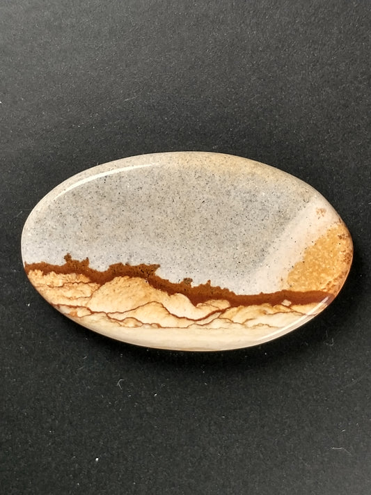 Owyhee Jasper Cabochon Medium