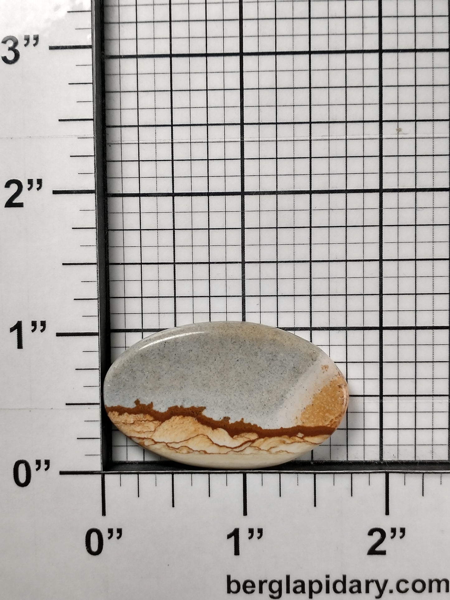 Owyhee Jasper Cabochon Medium
