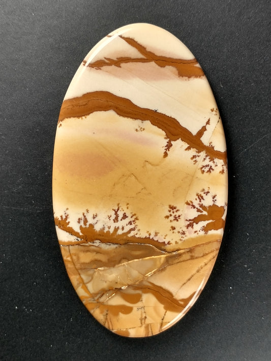 Owyhee Jasper Cabochon X Large