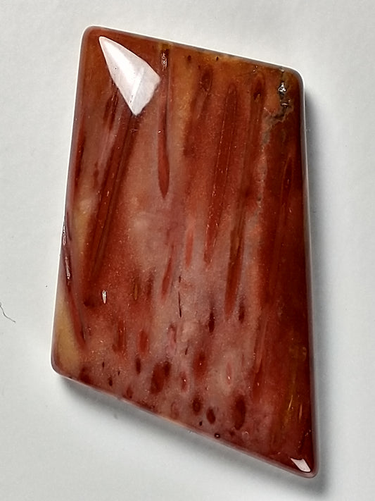 Petrified Palm Wood Cabochon Medium