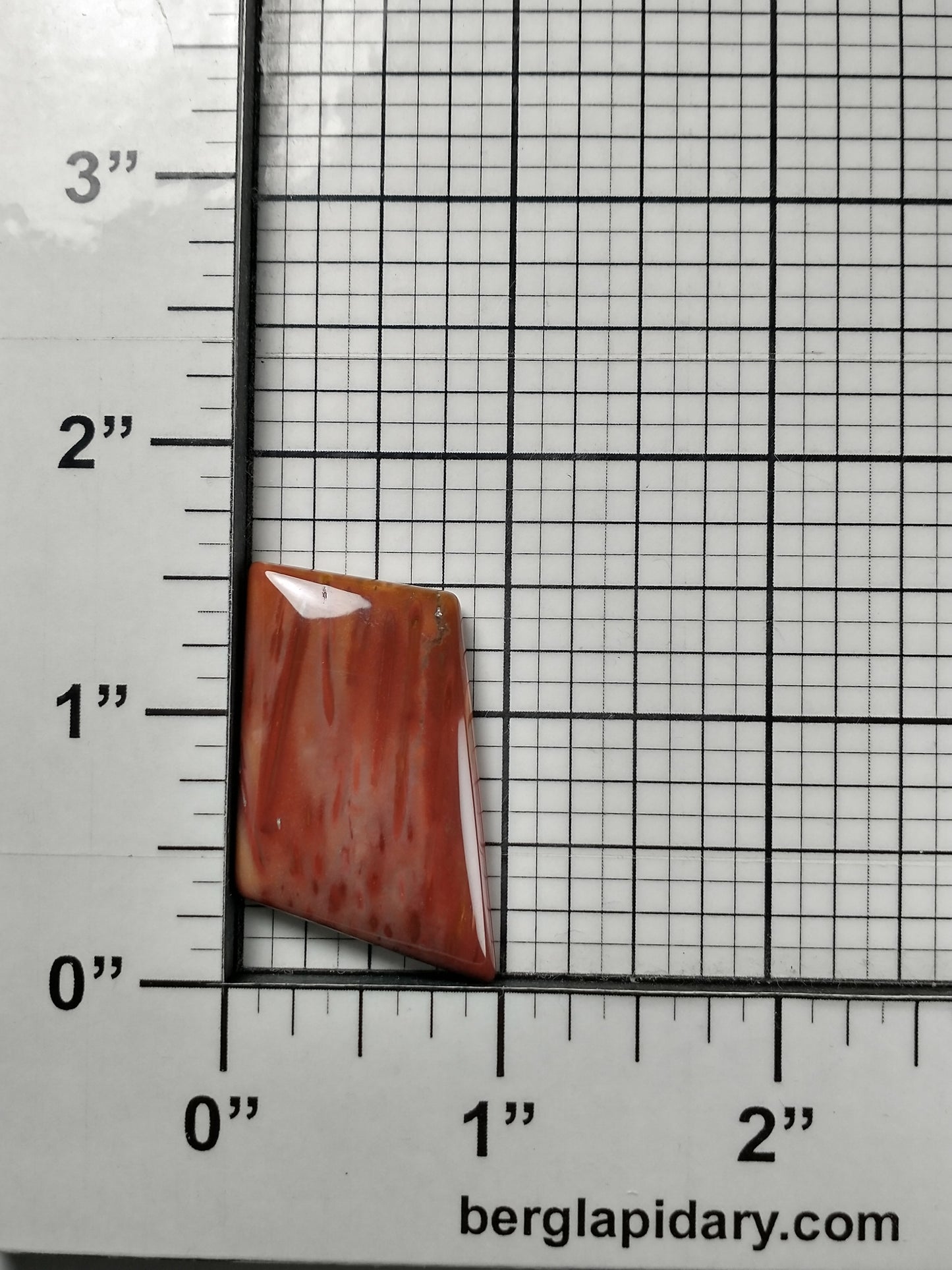 Petrified Palm Wood Cabochon Medium