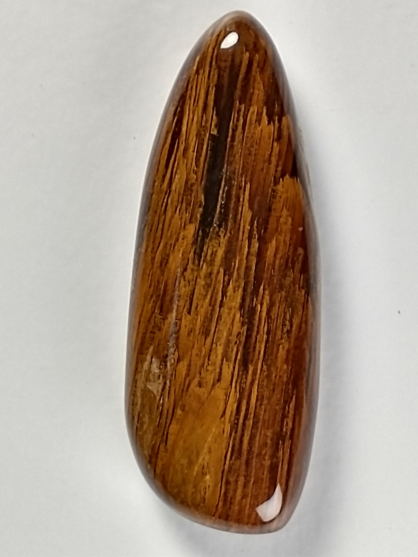 Petrified Wood Cabochon Medium