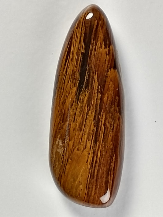 Petrified Wood Cabochon Medium