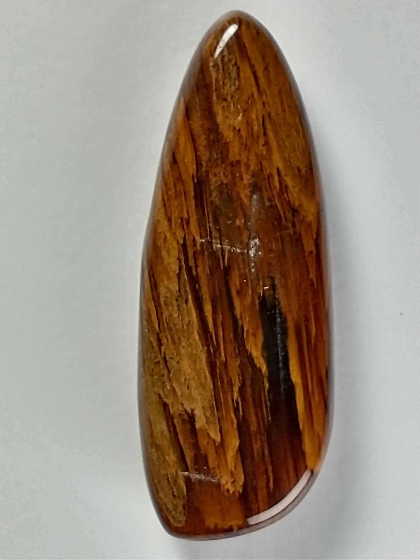 Petrified Wood Cabochon Medium